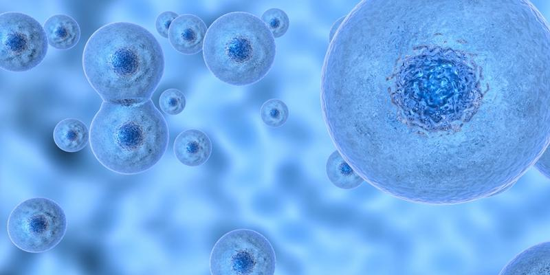 漢氏藥業(yè)|第7個(gè)臨床試驗(yàn)申請(qǐng)獲批準(zhǔn)，領(lǐng)跑干細(xì)胞新藥賽道