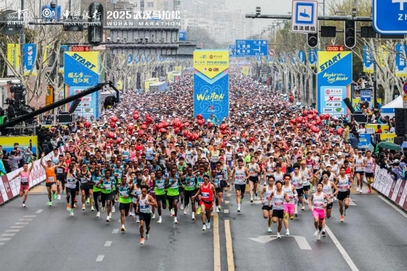 君創(chuàng)Portfolio|雙城燃戰(zhàn)春光 康比特能量護航